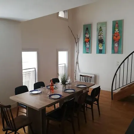 Mayra Apartament Perpignan